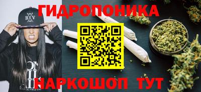 тгк Камышлов