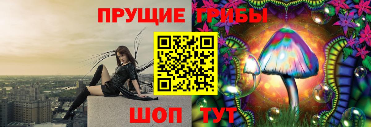 Куйбышев  Галлюциногенные грибы прущие грибы  Вход с VPN 